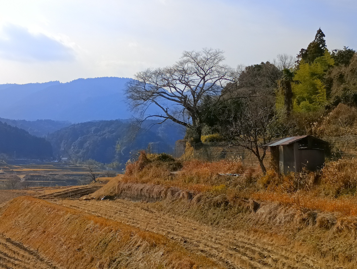 地旅商品画像4