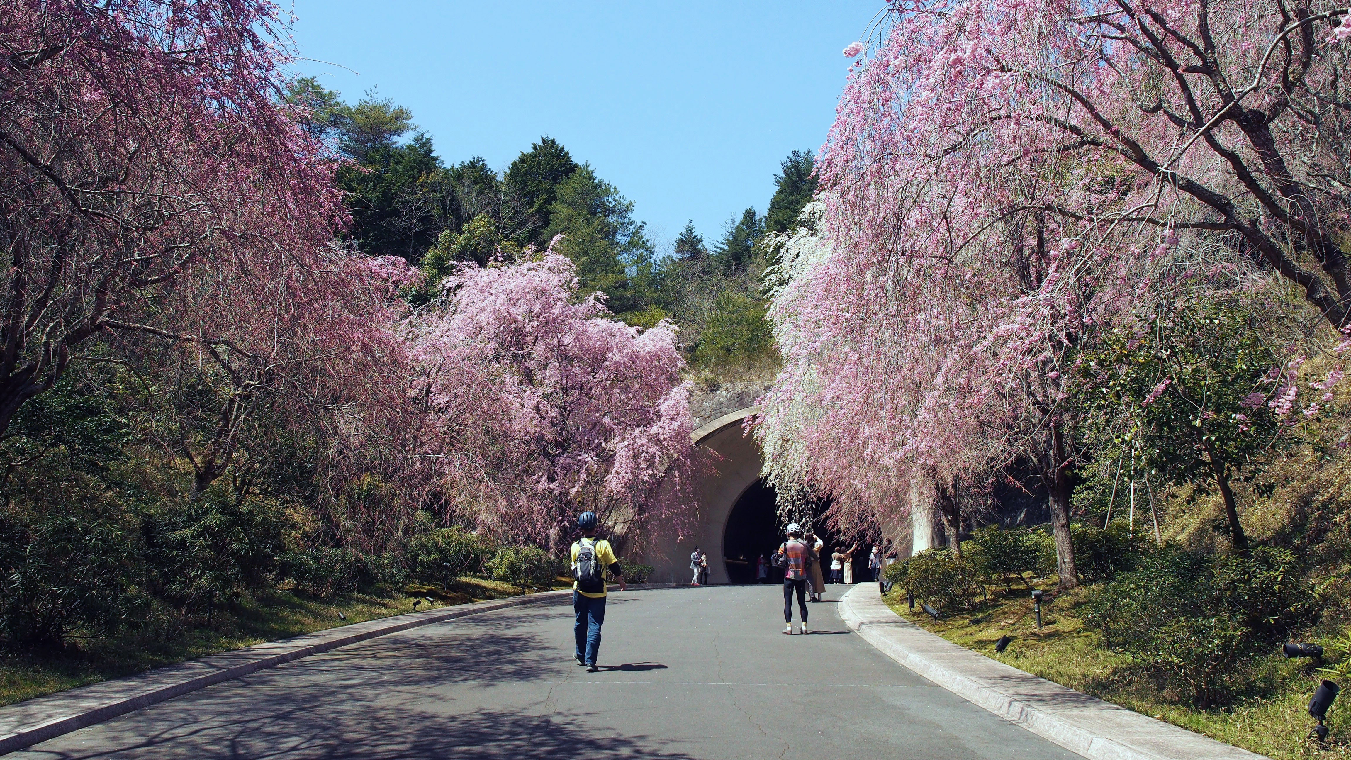 地旅商品画像2